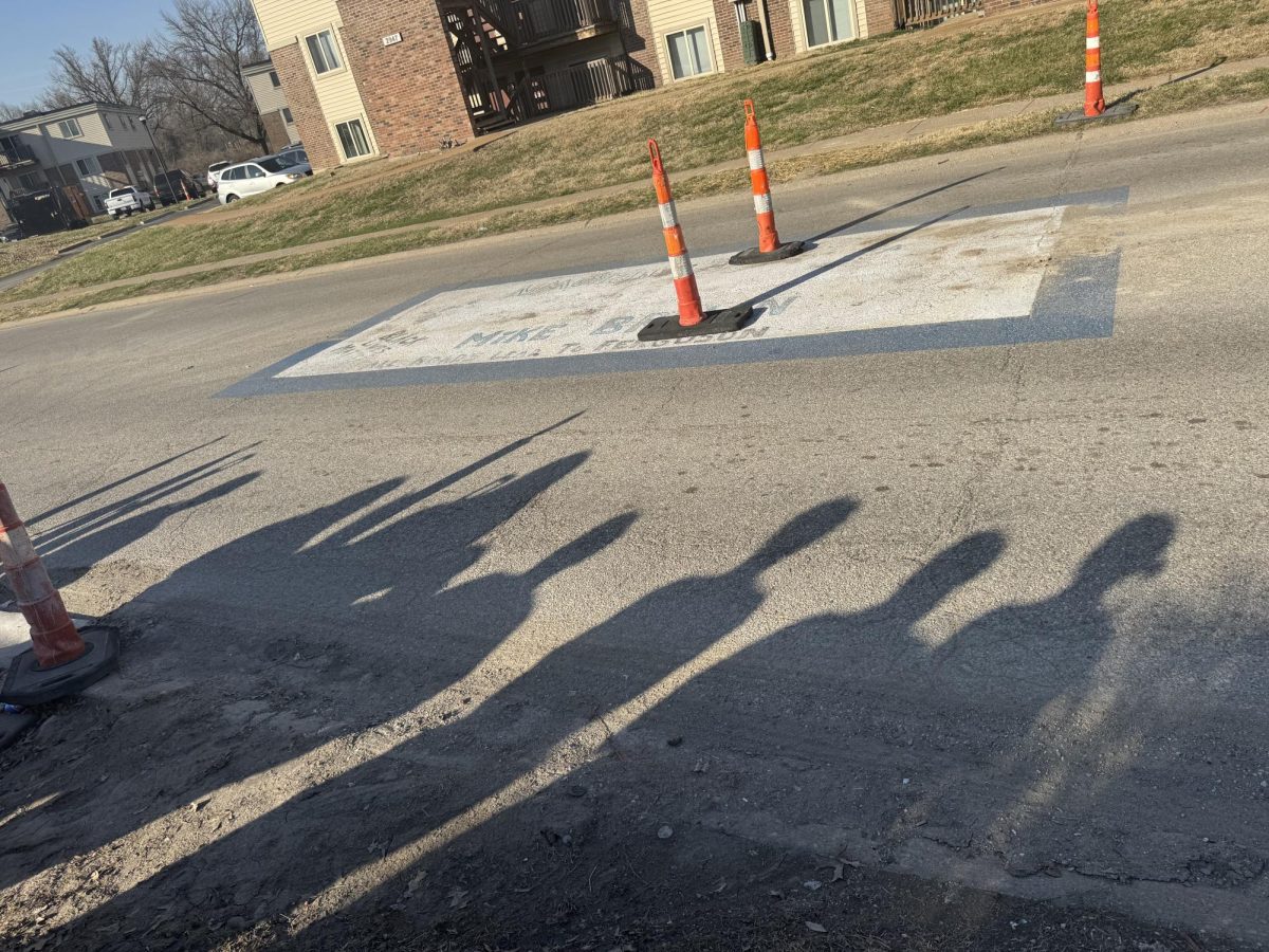 shadows of seven students in street next to painted square with Mike Brown written on it
