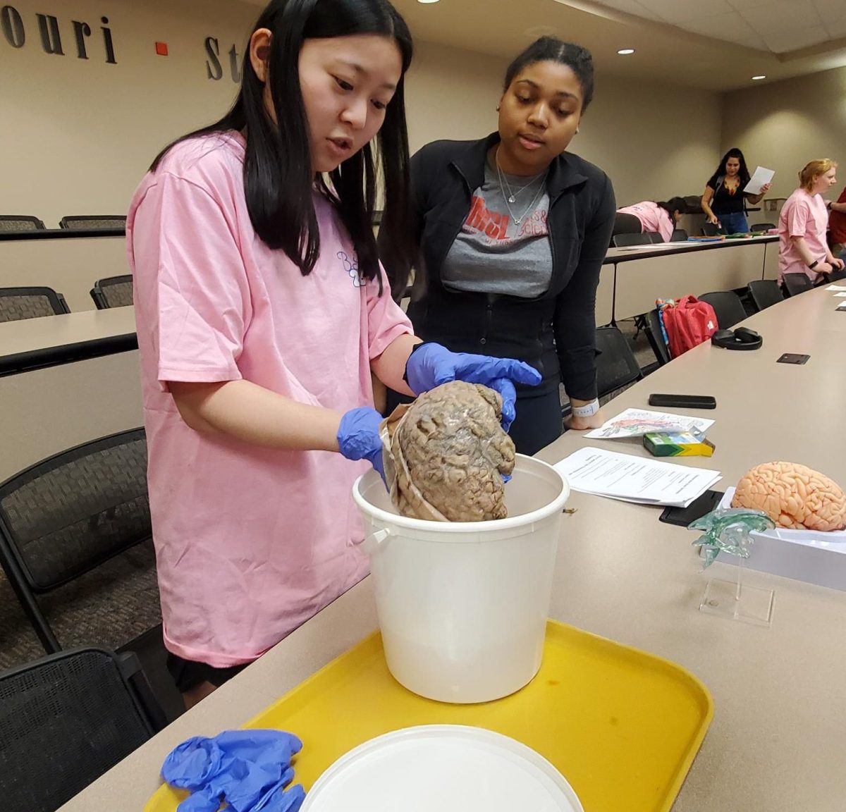 UMSL Brain Awareness Week 